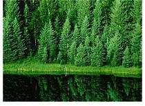 Environment Water Overview What is Aquatic Habitat Environment Water Overview What is Aquatic Habitat - Environment Water Overview What is Aquatic Habitat