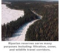 Environment Water Regulations Riparian Zones Environment Water Regulations Riparian Zones - Environment Water Regulations Riparian Zones