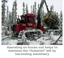 Environment Land Overview Harvesting Operations Environment Land Overview Harvesting Operations - Environment Land Overview Harvesting Operations